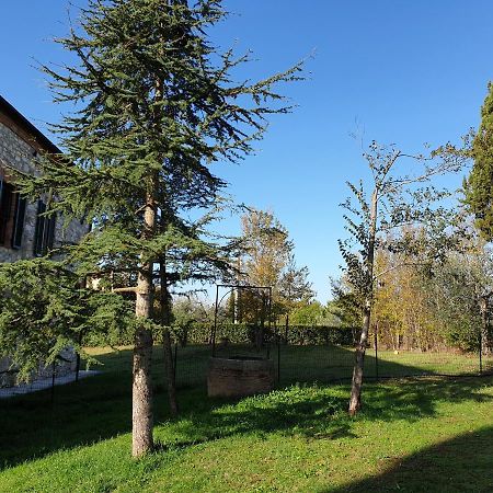 Podere Il Poggio Asciano Exterior photo